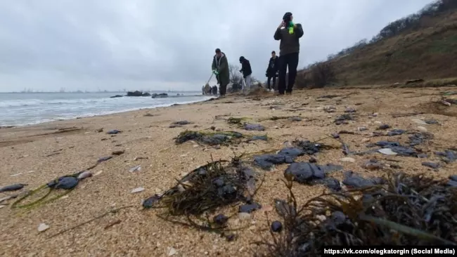 In Crimea, 15 tons of oil-contaminated sand and soil were collected in a day – RF Ministry of Emergency Situations