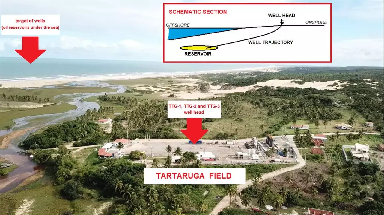 Petrobras’ Strategic Move: Divesting the Tartaruga Field to Optimize Portfolio and Drive Growth