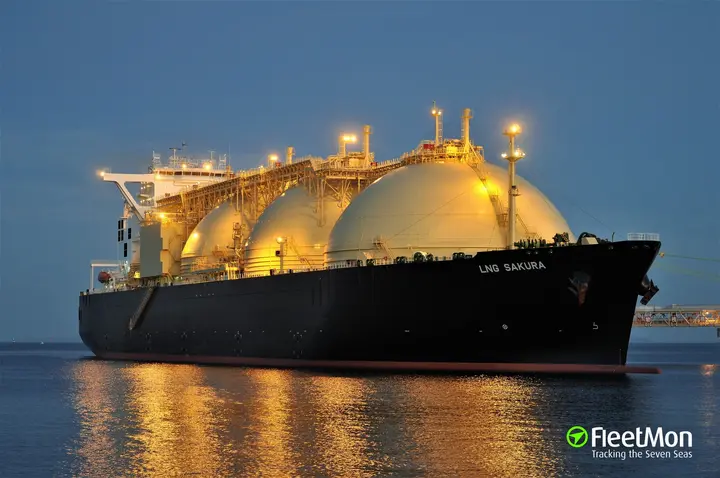 LNG Exports Growth Slows Down at 9-Year Low in 2024