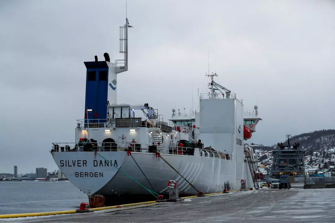 Unraveling the Silver Dania Incident: Maritime Security and Regional Implications in the Baltic Sea