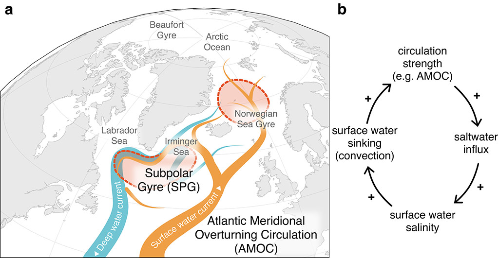 The Atlantic Subpolar Gyre: Unraveling a Climate Tipping Point and the Race for Early Warning Systems