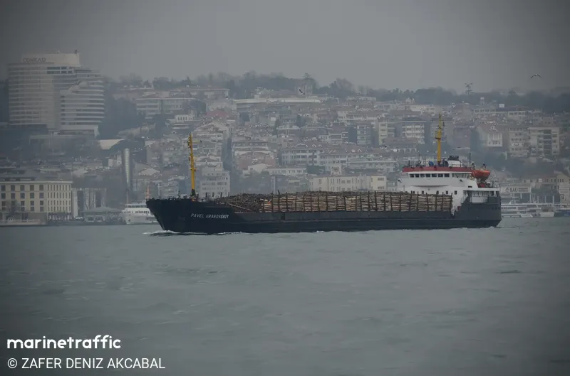 “Aging Cargo Ship Pavel Grabovskiy Suffers Hull Breach in Sea of Azov: Investigations Underway Amid Regional Security Concerns”